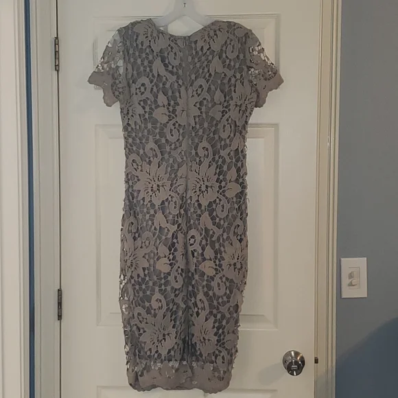 AX Paris lace sheath dress - Picture 6 of 7